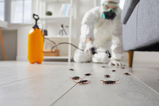 Affordable Cockroach Control solutions in Haskell, AR